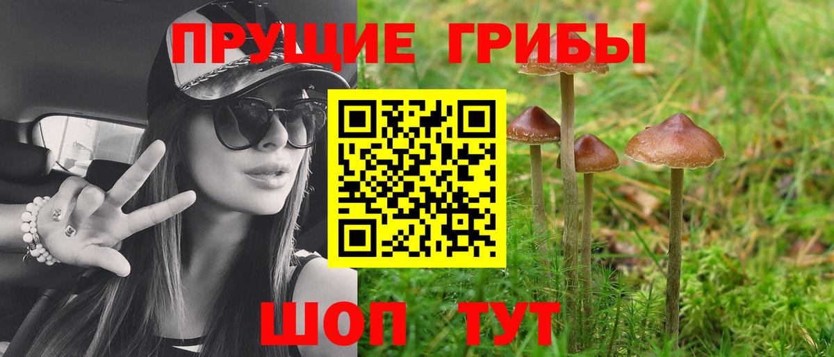 купить наркотики сайты  Вход с VPN  Гусев  Псилоцибиновые грибы мицелий 