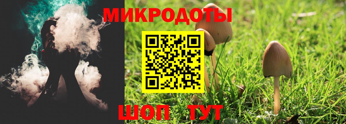 Псилоцибиновые грибы ЛСД Гусев